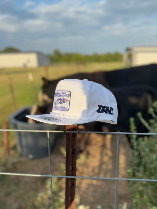 "West Texas Blues"